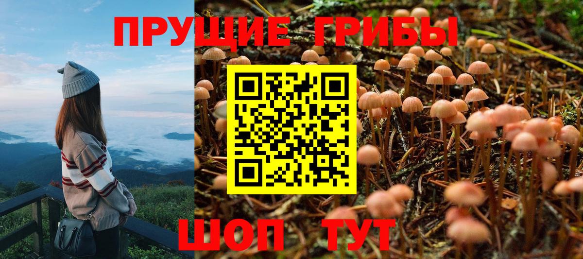 Псилоцибиновые грибы GOLDEN TEACHER Серов
